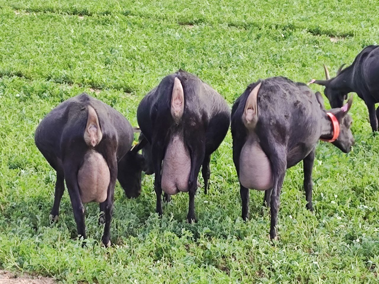 photo_2024-08-02_17-04-05 (2)