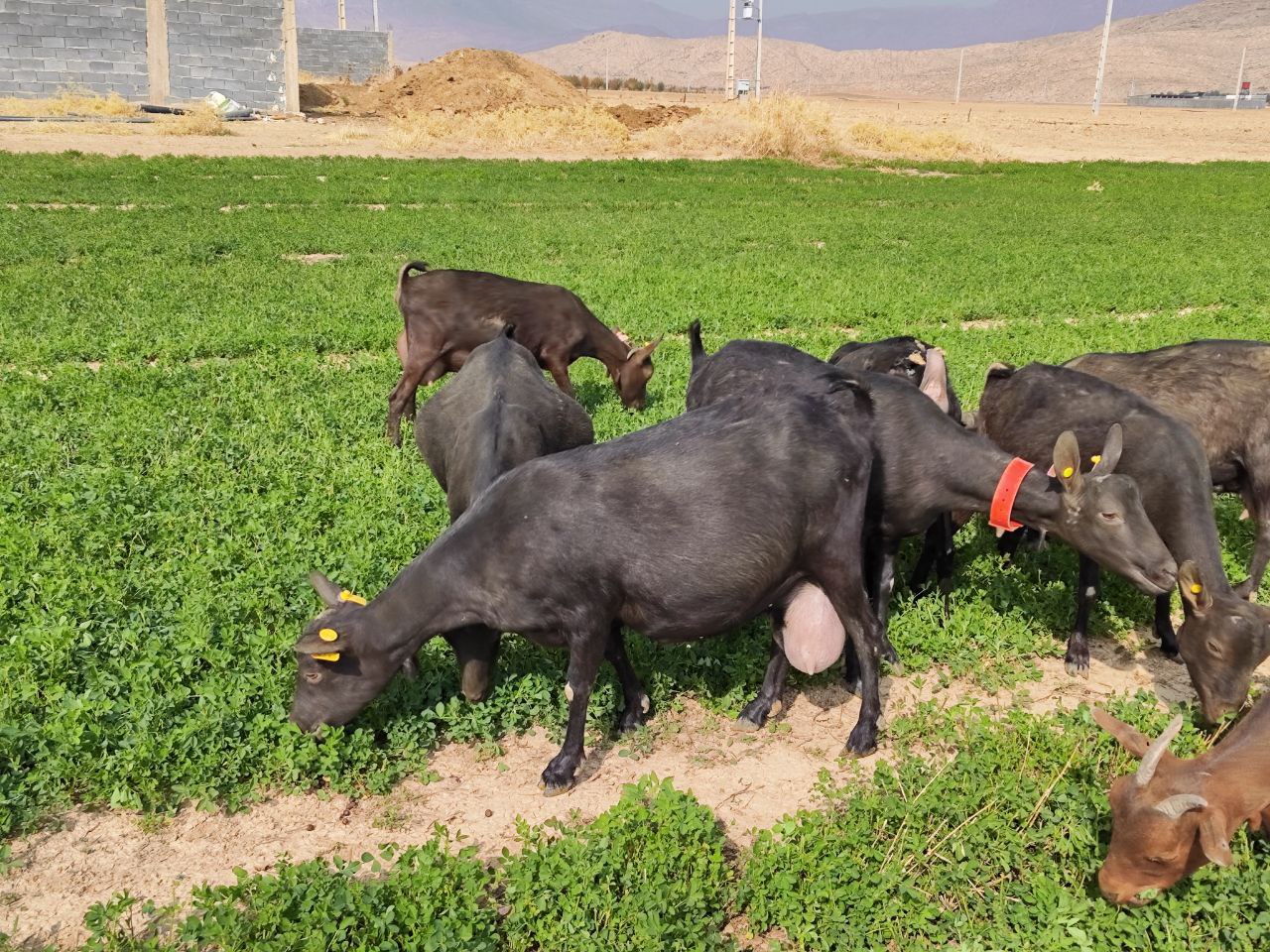 photo_2024-08-02_17-04-18