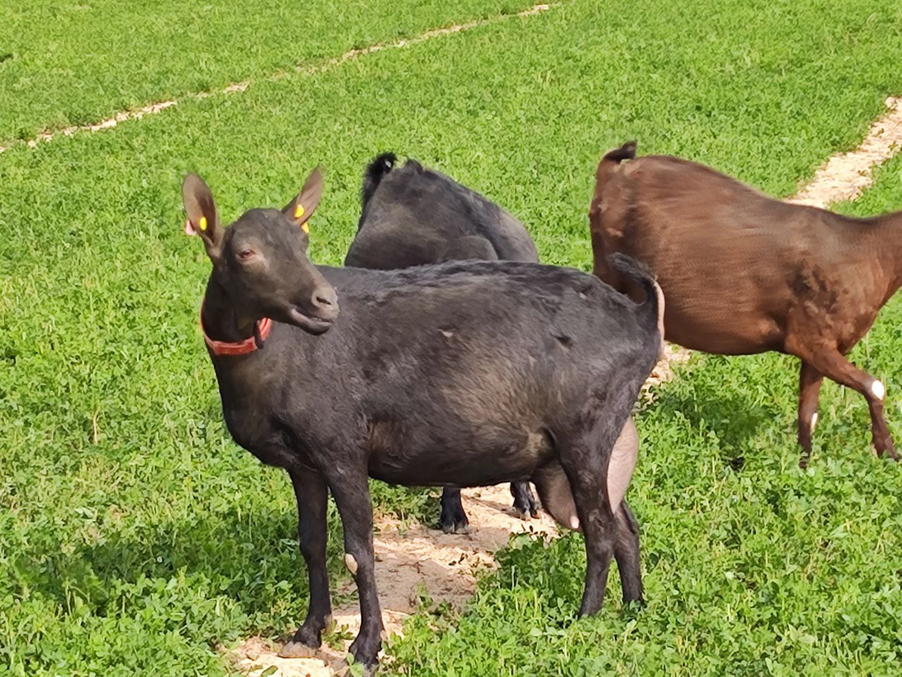 photo_2024-08-02_17-04-26