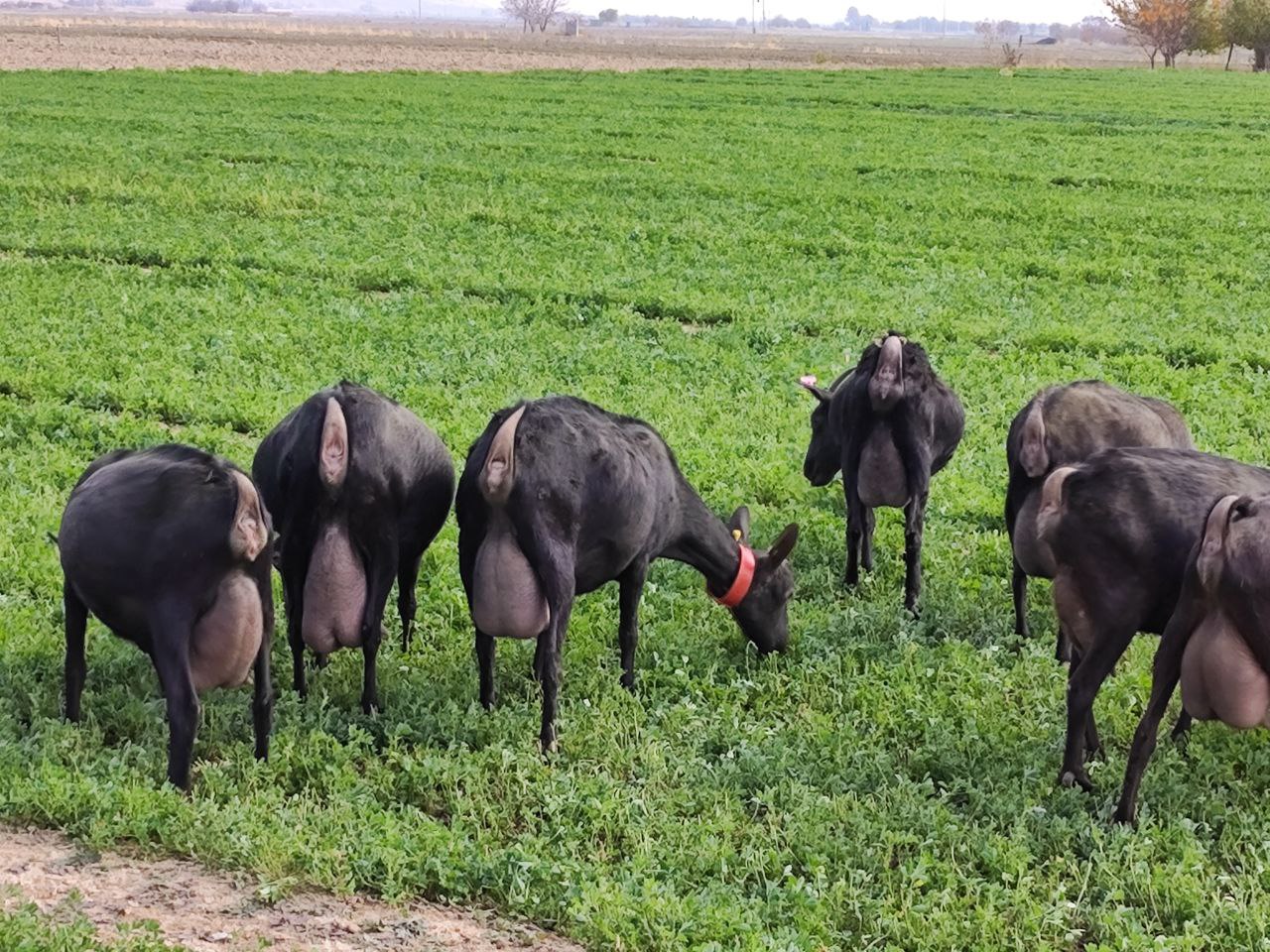 photo_2024-08-02_17-04-46